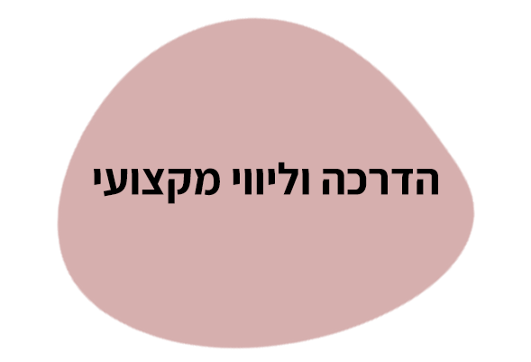 הדרכה וליווי מקצועי