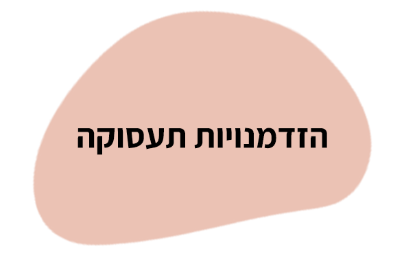 הדרכה וליווי מקצועי